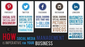 How Social Media Management is Imperative for Your Business